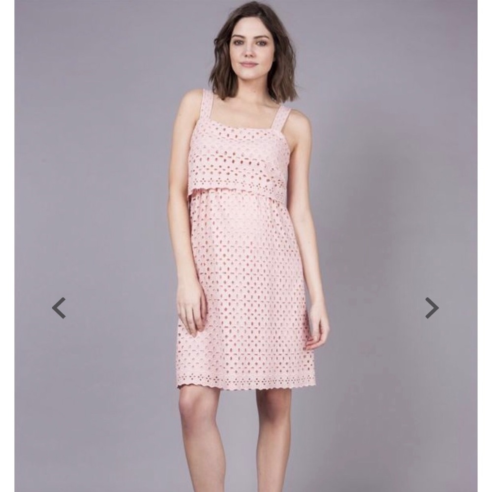 Seraphine Ashley Embroidered Nursing Dress